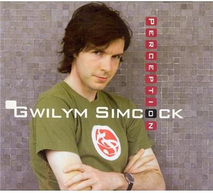 Gwilym Simcock - Perception