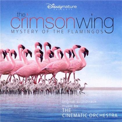 The Cinematic Orchestra - Crimson Wing - Mystery Of