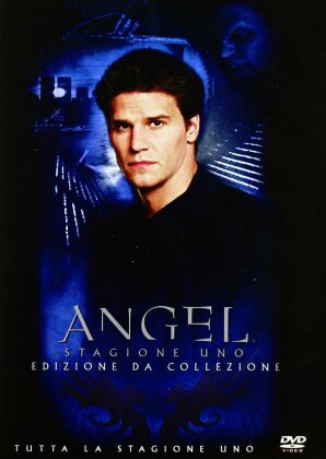Angel - Stagione 1 (6 DVD)