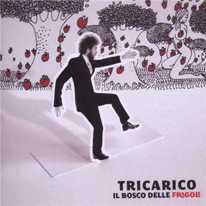 Tricarico - Il Bosco Delle Fragole