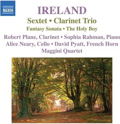 Maggini Quartet & Ireland - Sextett/Klar.Trio/Fantasysonat