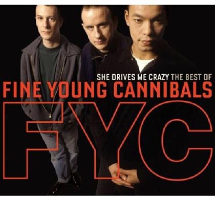 Fine Young Cannibals - She Drives Me Crazy - Best Of (2 CDs)