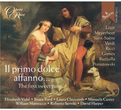 Vidal/ Ford/ Claycomb/ Custer & Franz Liszt (1811-1886) - Il Salotto - Volume 7