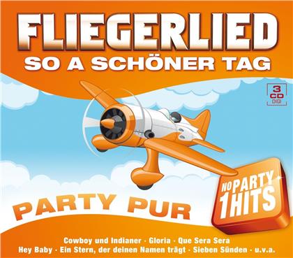 Fliegerlied - So A Schöner Tag - Various (3 CDs)