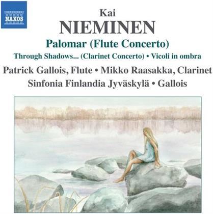 Patrick Gallois & Nieminen - Palomar(Flötenkonzert)Klarkonz