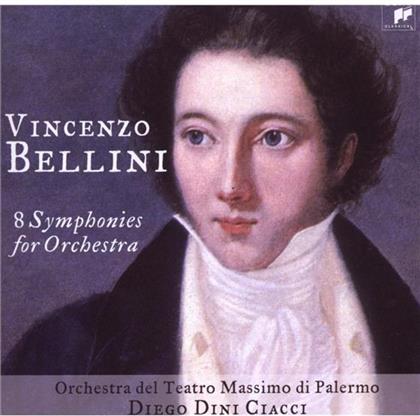 Ciacci Diego Dini/Orch.Teatro & Vincenzo Bellini (1801-1835) - 8 Sinfonien