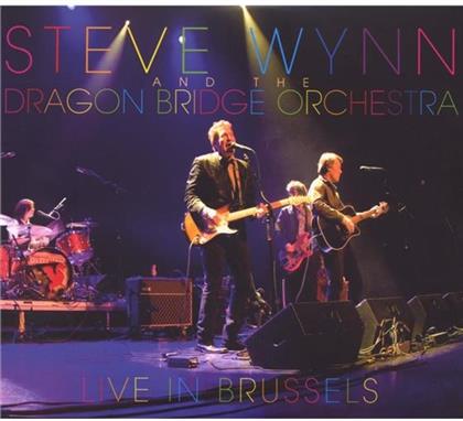 Steve Wynn - Live In Brussels