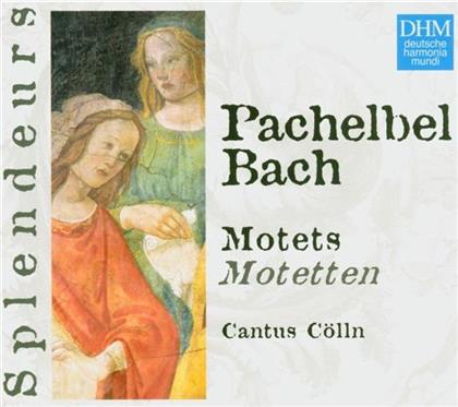 Cantus Cölln & Bach/Pachelbel - Splend/Motets
