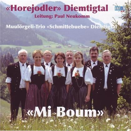 Diemtigtal Horejodler - Mi Boum