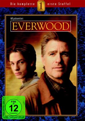 Everwood - Staffel 1 (6 DVDs)