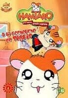 Hamtaro - P'tits hamsters, grandes aventures - Vol. 13-16