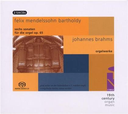 Gerd Zacher & Johannes Brahms (1833-1897) - Choralvorspiele Op122, Fuge (2 CDs)