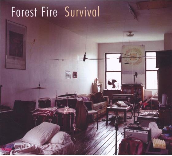 Forest Fire - Survival