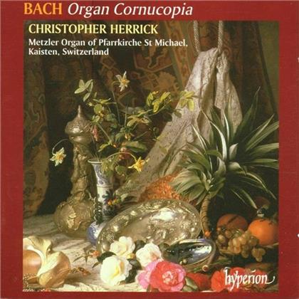 Christopher Herrick & Johann Sebastian Bach (1685-1750) - Organ Cornucopia