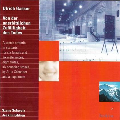 Ulrich Gasser, Peter Bauer, Peter Matthew Bauer, Daniel Pfister, Christian Kuster, … - Von Der Unerbittlichen Zufälligkeit des Todes
