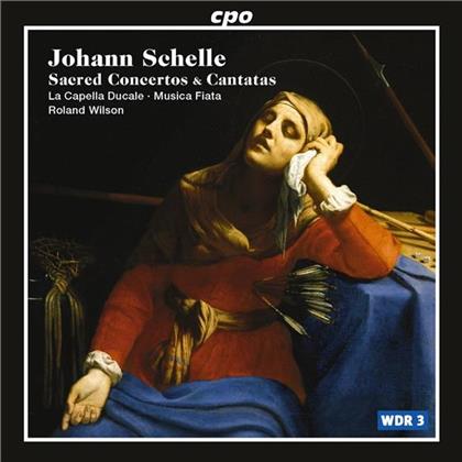 La Capella Ducale, Musica Fiata & Johann Schelle - Sacred Concertos & Cantatas :