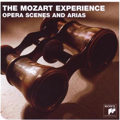 Nicolas McGegan & Wolfgang Amadeus Mozart (1756-1791) - Mozart Experience