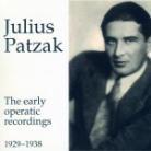 Julius Patzak - Early Operatic Recordings (2 CDs)