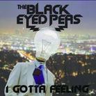 The Black Eyed Peas - I Gotta Feeling - 2Track