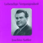 Joachim Sattler & Richard Wagner (1813-1883) - Singt Wagner