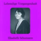 Elisabeth Schumann & Mozart/Strauss/Wagner/Bach - Arien