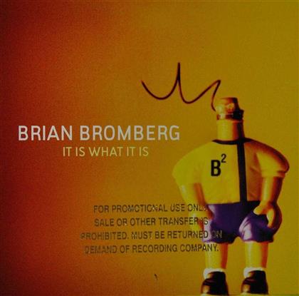 Brian Bromberg - It Is What It Is