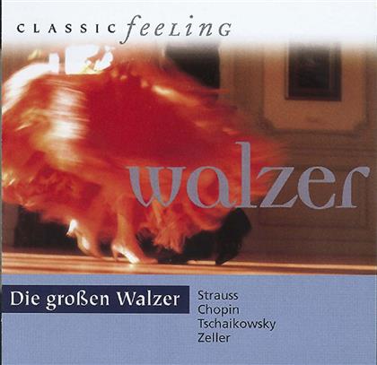 --- & Strauss/Chopin/Tschaikowsky/Dvorak/Zell. - Grossen Walzer - Classic Feeling