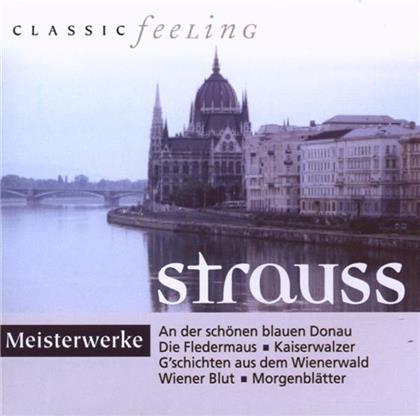 --- & Johann Strauss II (1825-1899) (Sohn) - Meisterwerke - Classic Feeling
