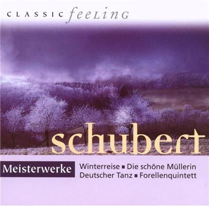 --- & Franz Schubert (1797-1828) - Meisterwerke - Classic Feeling