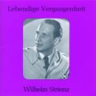 Wilhelm Strienz & Mozart/Lortzing/Flotow/Verdi - Diverse Arien