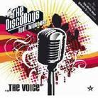 Discoboys - Voice - 2 Track