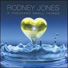 Rodney Jones - Thousand Small Things