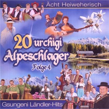 20 Urchigi Alpeschlager - Various 04