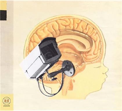 Hidden Cameras - Origin: Orphan