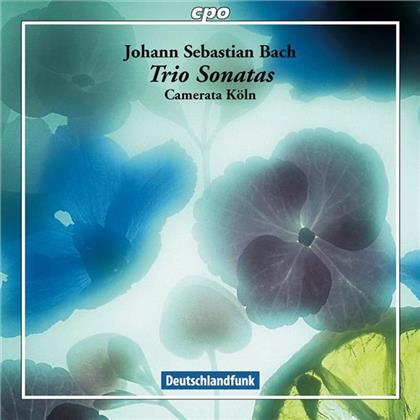 Camerata Köln & Johann Sebastian Bach (1685-1750) - Trio-Sonate Bwv525, Bwv527