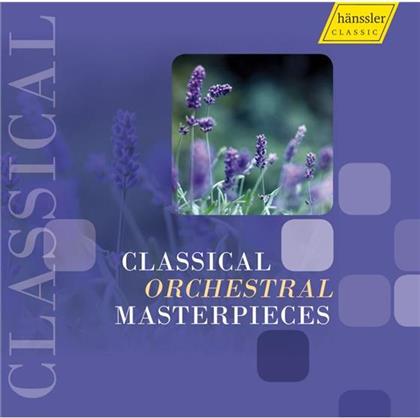 Heidelberger Sinfoniker/ Fey/ & Haydn/ Mozart/ Beethoven/ Rose - Classical Orchestral Materpieces (2 CDs)