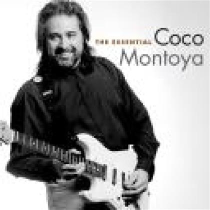 Coco Montoya - Essential