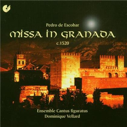 Ensemble Cantus Figuratus & De Penalosa/De Escobar/Gregorianik - Missa In Granada