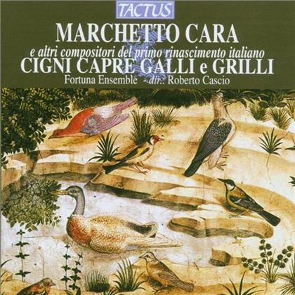 Fortuna Ensemble & D'acanio/Pesenti/Tromboncino/Cara U.A. - Cigni / Capre / Galli / El Grillo El