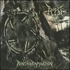 Rise - Pentagramnation