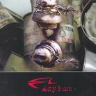 Acylum - Enemy