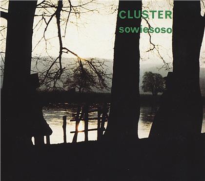 Cluster - Sowiesoso - Reissue