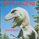 Pylon (Post-Punk) - Chomp More