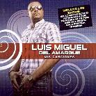 Luis Miguel Del Amargue - Mis Canciones
