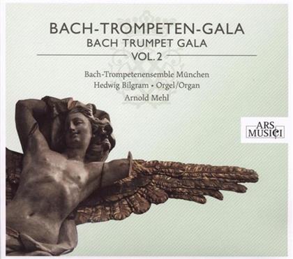 Bilgram Hedwig & Divers Trompete Ensemble - Bach, Bruhns, Haendel, Kolb, U