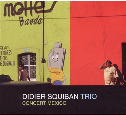 Didier Squiban - Concert Mexico