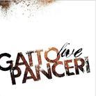 Gatto Panceri - Live