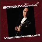 Sonny Landreth - Mississippi Blues