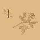 George Smallwood - Just 4 You