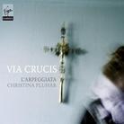 Pluhar Christina/Jaroussky P./Rial Nuria & --- - Via Crucis (CD + DVD)